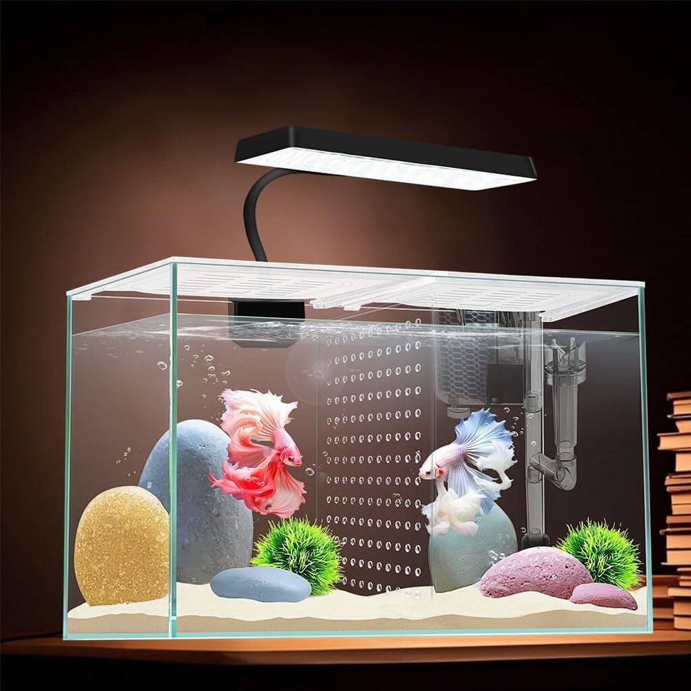 3 Gallon Nano Glass Aquarium with Separator Plate for Betta Fish