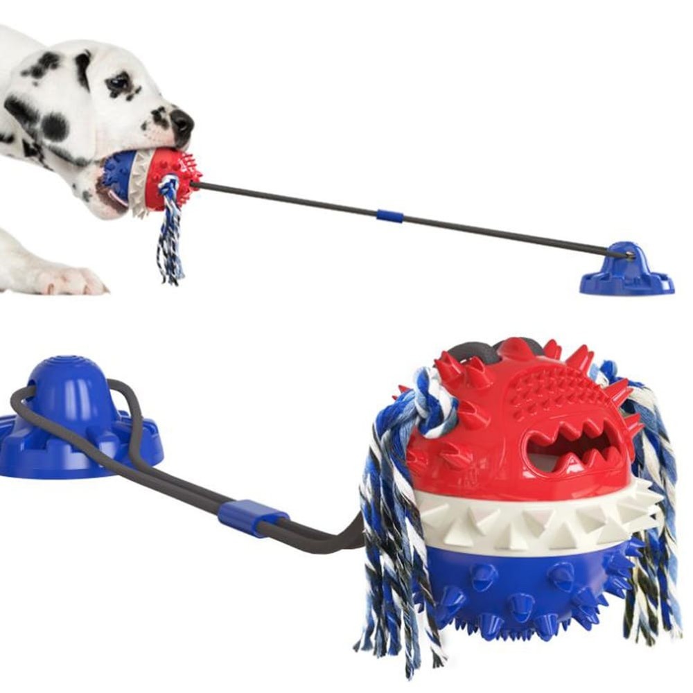 Dog Chew Toys, Puppy Toothbrush Clean Teeth Interactive Dog