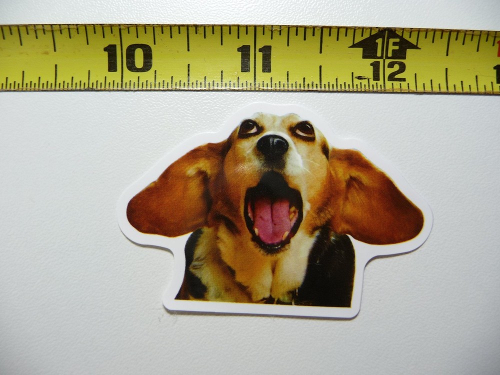 OMG OH MY GOD FUNNY DOG DECAL STICKER PET PLAY FURBALL