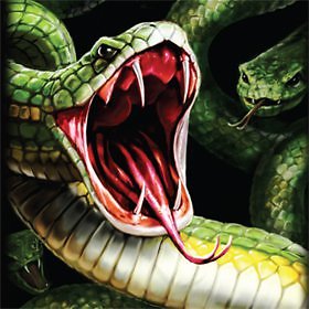 Serpientes 4 Bolsillos Holofoil Cartera Cartera Protección Máxima SUMINISTRO DE JUEGOS TOTALMENTE NUEVO