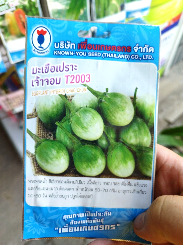 Pack x5 Seeds THAI FOOD Backyard Home Garden Herb Vegetables Asian Plants Cook