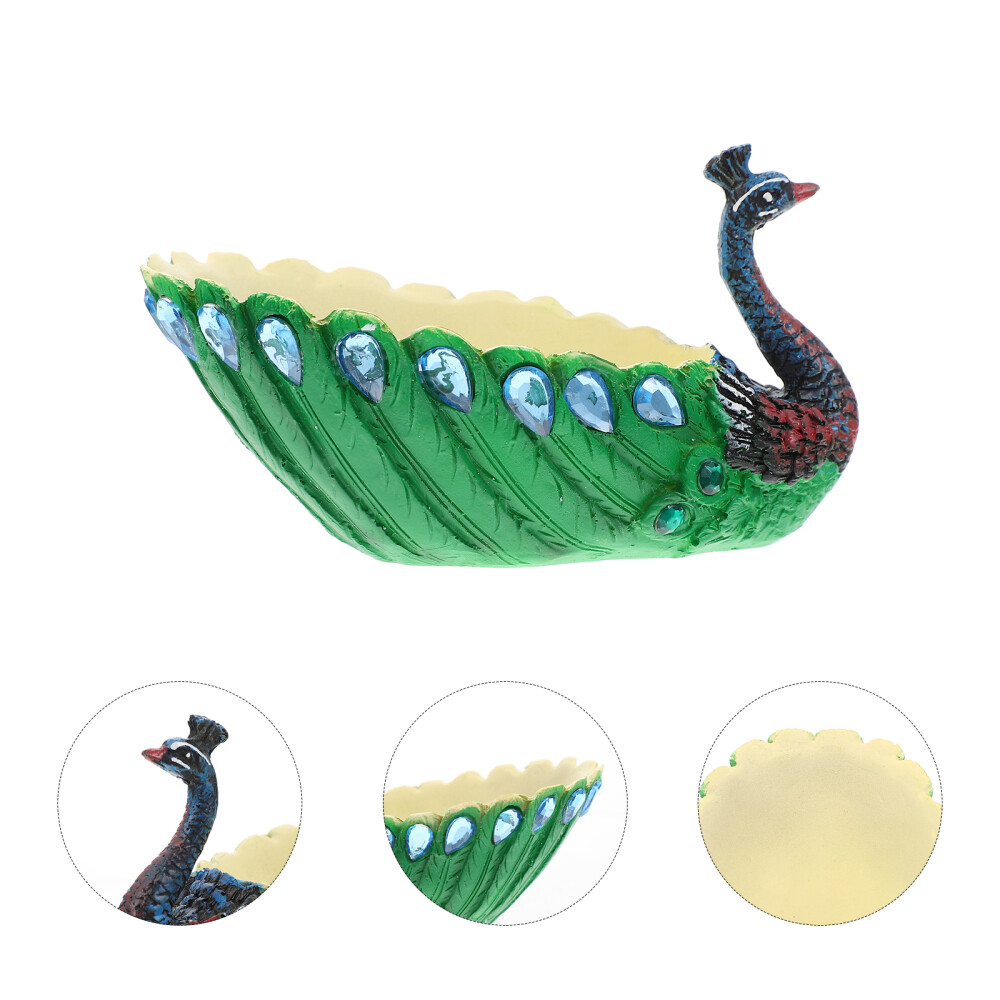 Small Pots for Plants Succulents Garden Peacock Flower Indoor