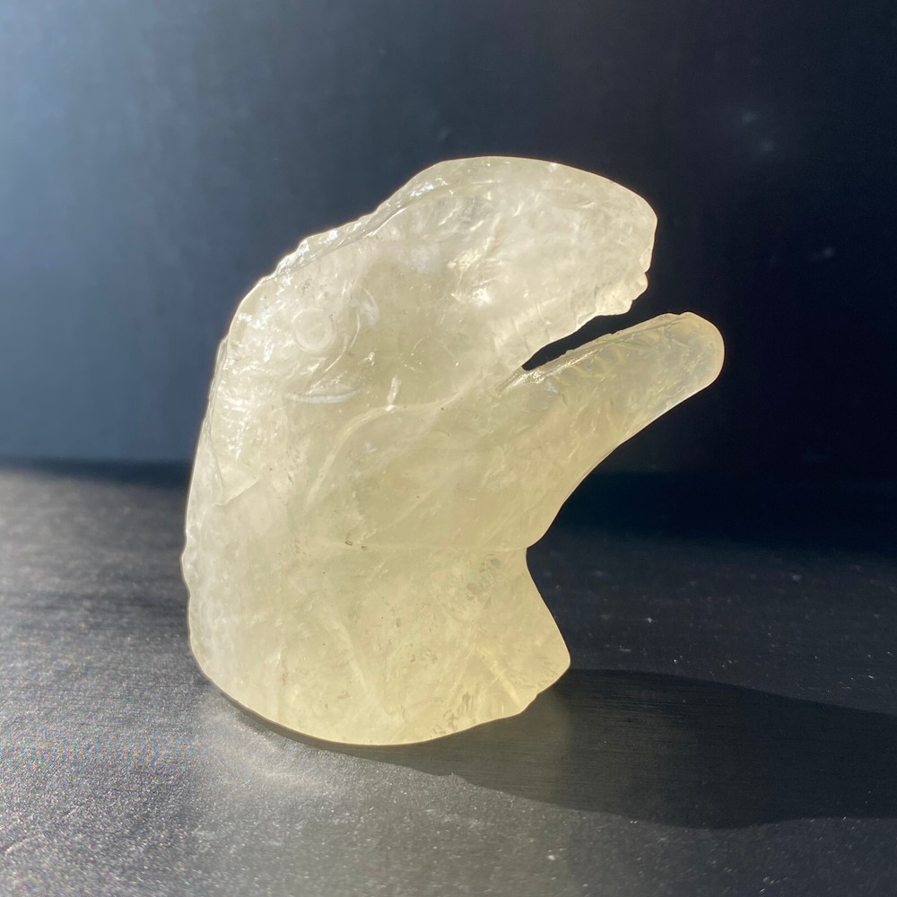102g Natural citrine quartz Hand Carved Crystal dinosaur skull healing