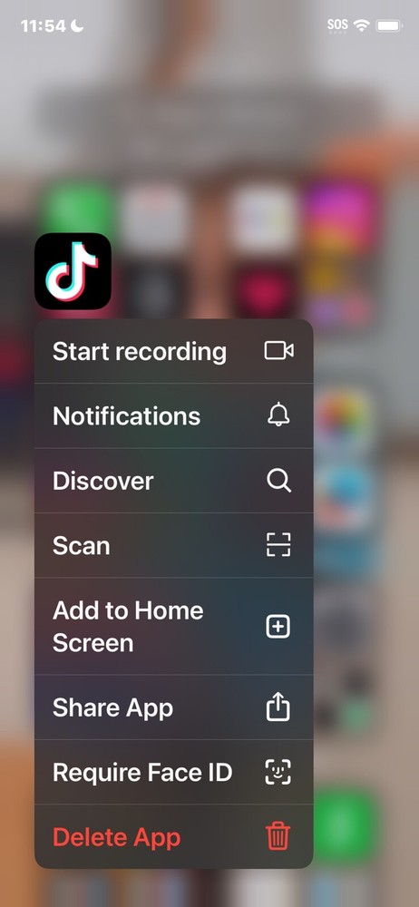 iphone 11 pro tik tok installed