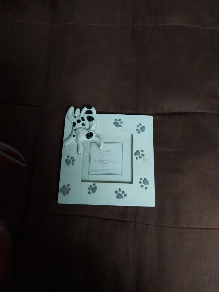 Dog 3.5x3.5 Photo Frame with Paws Retail $20