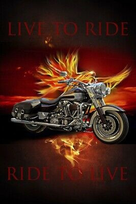 35-Inch Motorcycle Flames Fabric Panel by David Textiles - Ride in Style