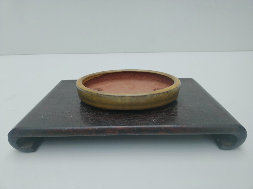 Japanese Bonsai Tree Pot Tokoname Yozan Yellow Glazed Oval Width 15 cm / 5.9 in.