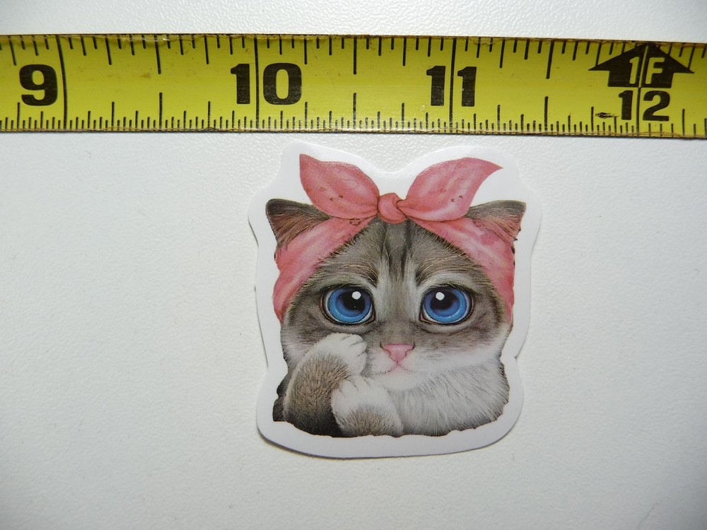 Cute Funny Cat Kitten Sticker Decal for Home Pet Lovers