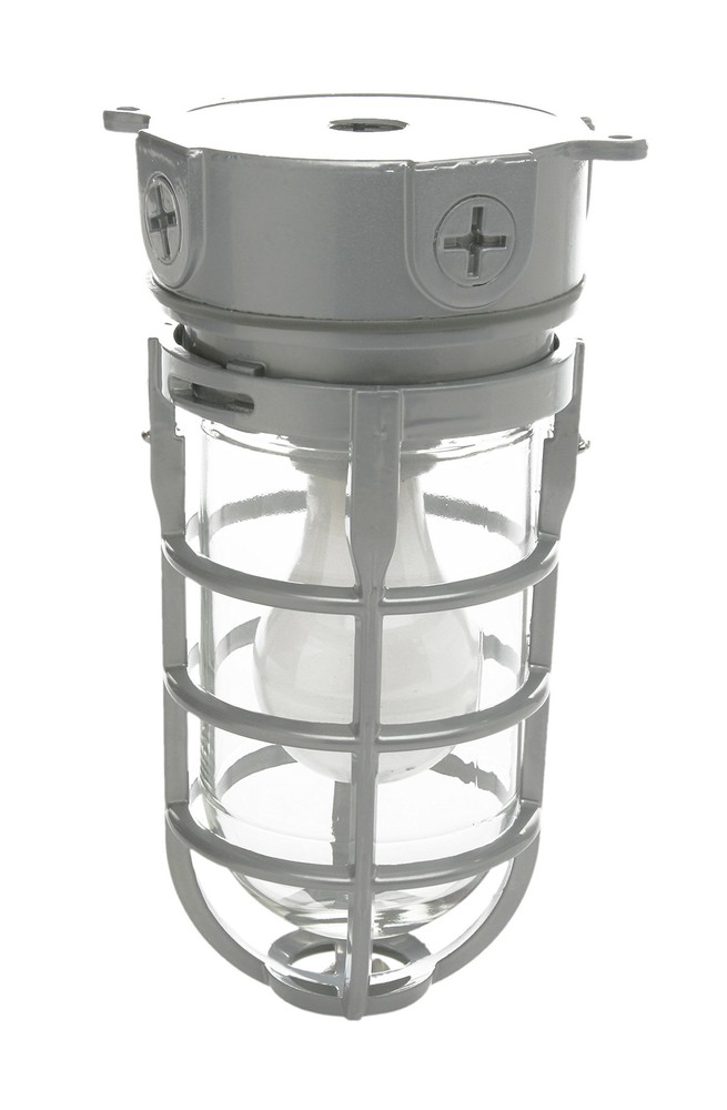 L1706 Vandal Resistant Light With Ceiling Mount (150W Incandescent Bulb; Silver)
