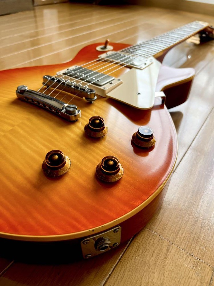 ESP Edwards Les Paul Guitar Secure Shipping Case