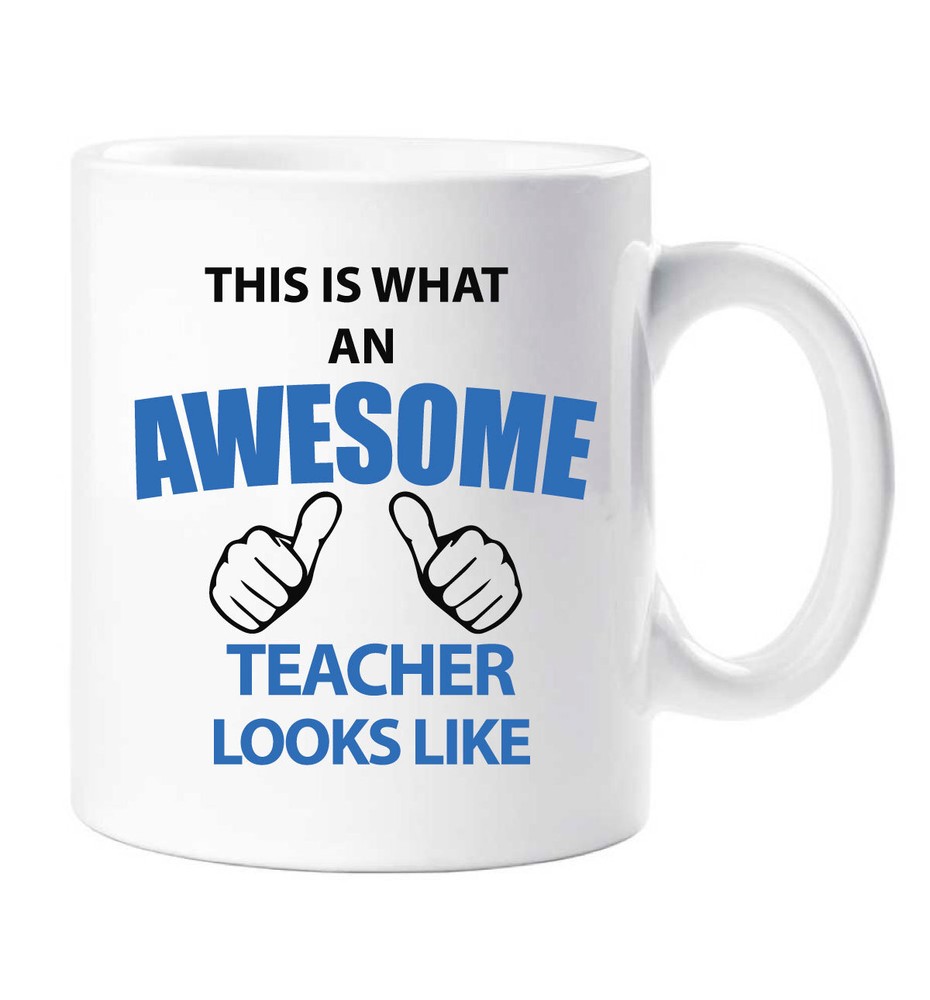 Blue Teacher Mug Awesome Teacher Mug Ceramic Novelty Present Gift Cup Thank You