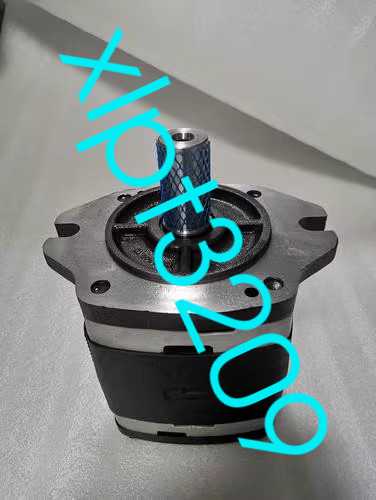 NEW VOITH IPV6-64-101 IPV6-64 101 gear pump FedEx or DHL