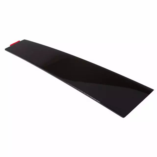 Genuine Ford Door Applique AG1Z-5420554-AC
