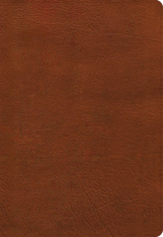 NASB Super Giant Print Reference Bible LeatherTouch Indexed Burnt Sienna 80th Edition  