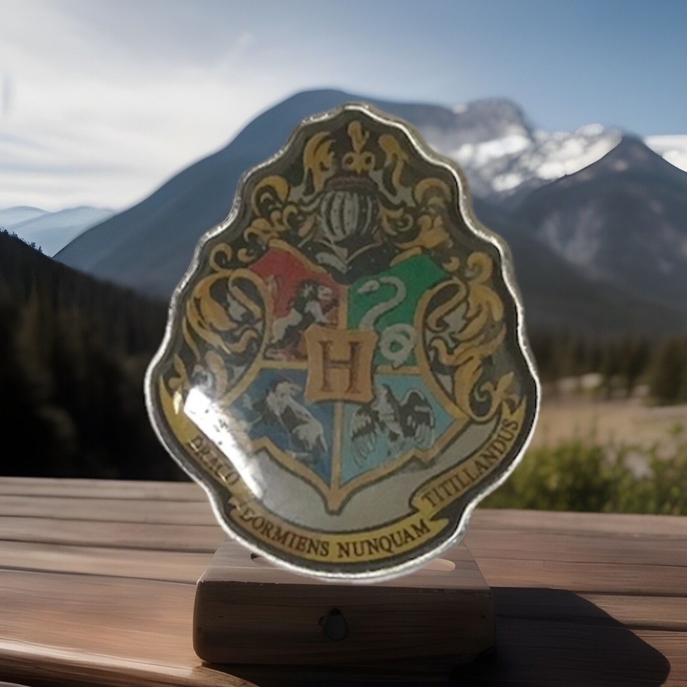 Harry Potter Hogwarts Enamel Pin for Witches and Wizards  