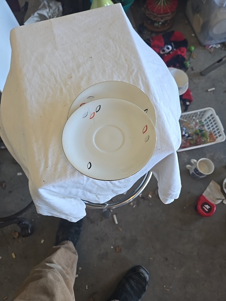 Seltmann Weiden Barvaria 5.5