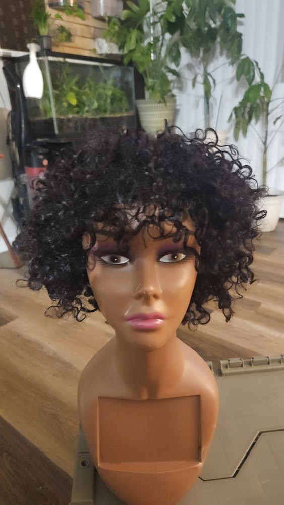 Human Hair Wig Short