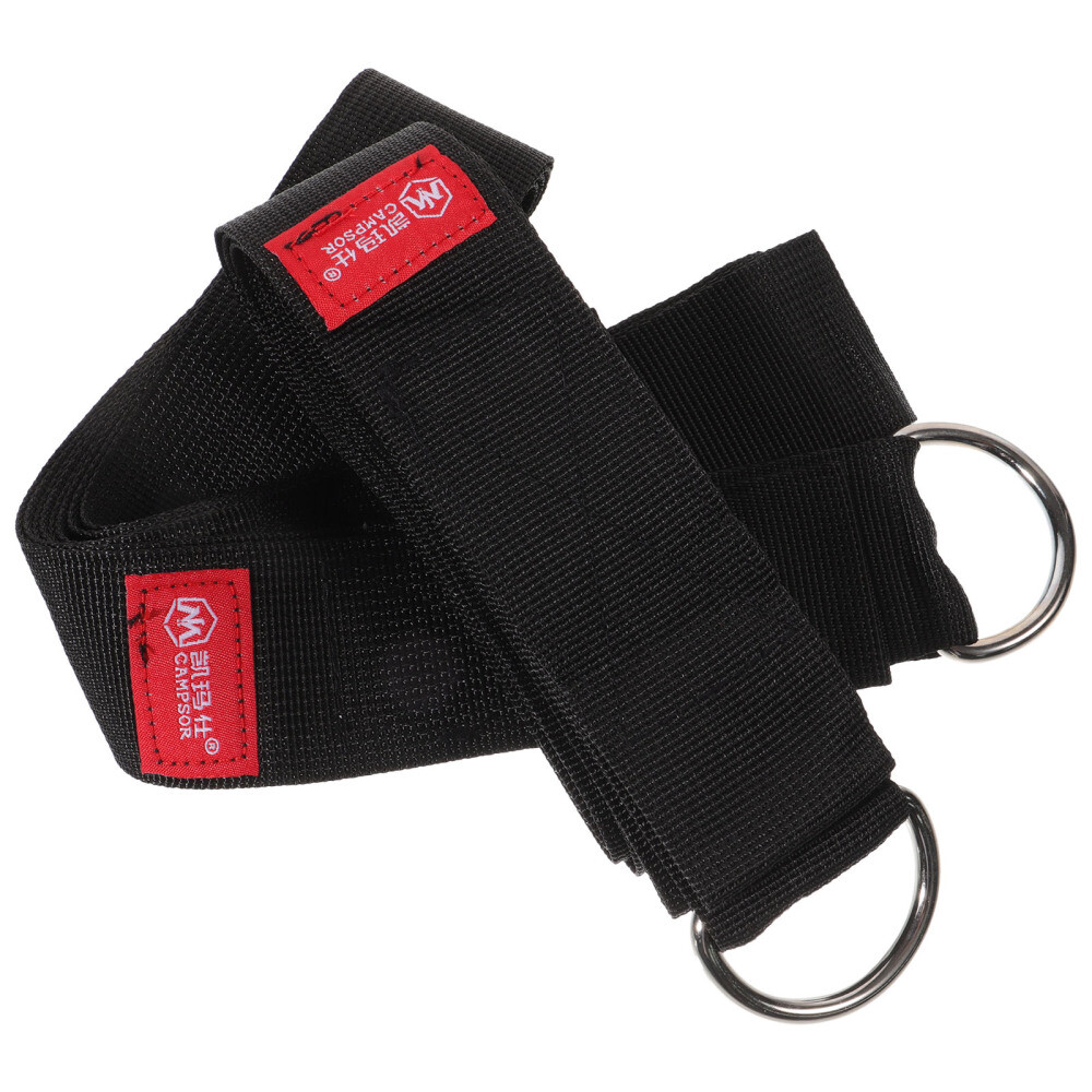 2 Pcs Swing Rope Gym Lifting Straps Carabiner Camping Hammock