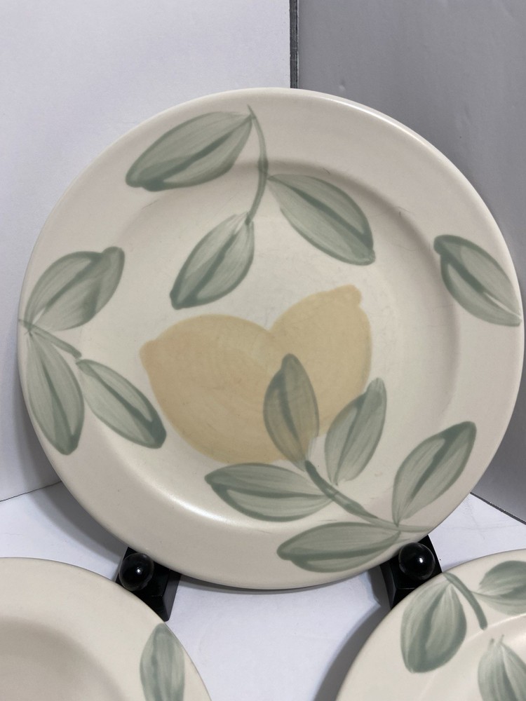 Pfaltzgraff Vera Cruz Lemon 4-Piece Salad Plate Set  