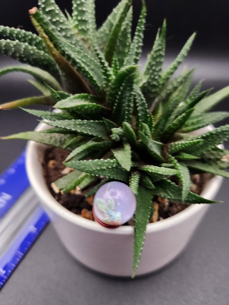 Glass Garden Stake for Plants and Flowers