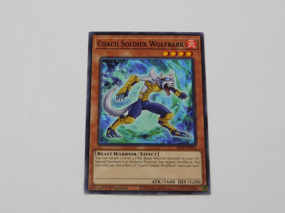 Yu-Gi-Oh TCG Fire Kings Structure Deck SR14 1st Edition 2020 Pick Your Card  