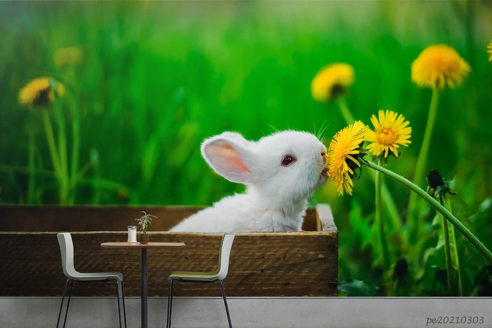 3D Dandelion Rabbit Close-up Wall Murals Wallpaper Murals Wall Sticker