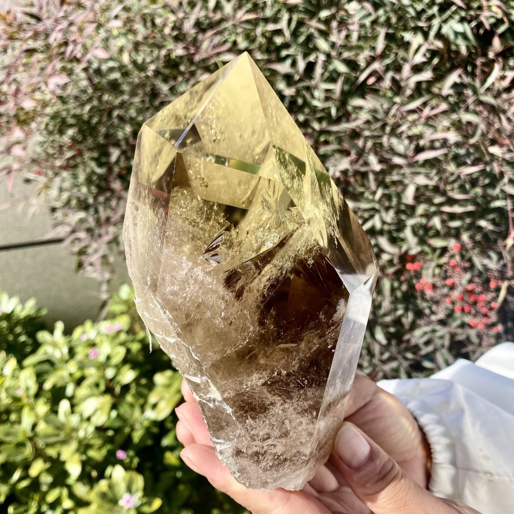 3.28LB Natural Citrine backbone cluster mineral specimen quartz crystal healing