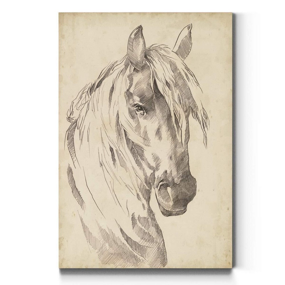 Portrait Style Canvas Wall Art: Animals, Dogs, Birds, Fish, Horses, Elk, Deer...