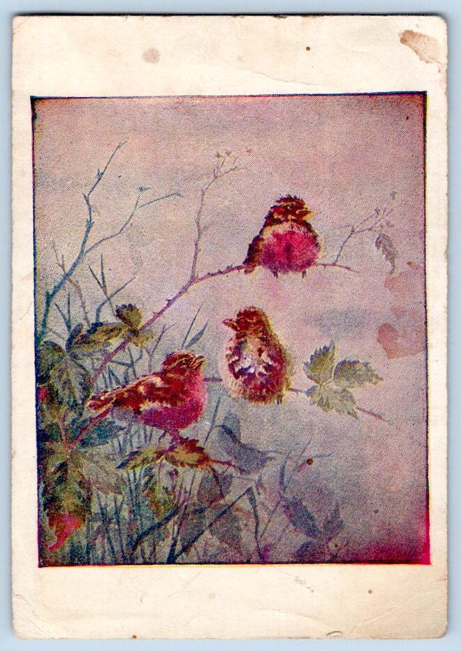 NINE O'CLOCK WASHING TEA WM WILLIAMS INDIANAPOLIS COUPON VICTORIAN TRADE CARD-image