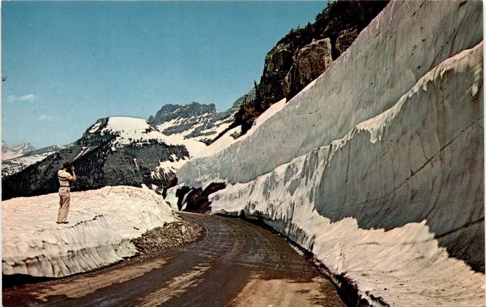 Logan Pass, Going-to-the-Sun Highway, Glacier National Park, Northwest Postcard