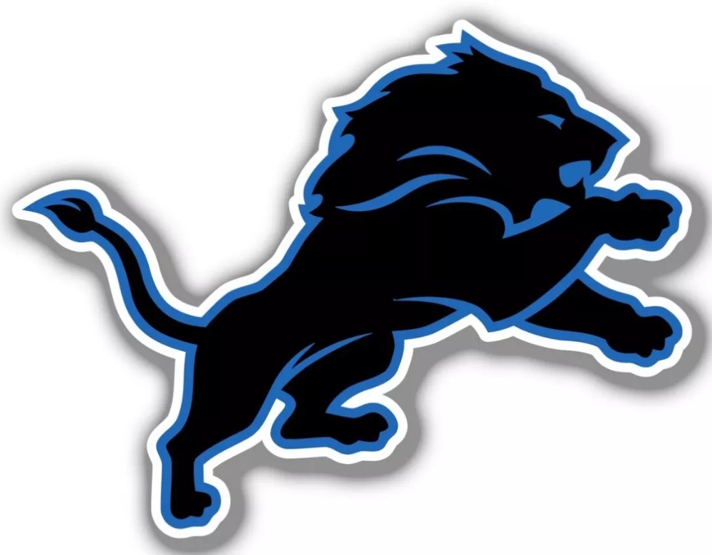 Detroit Lions NFL Weather Resistant Vinyl Die Cut Sticker Decal 14