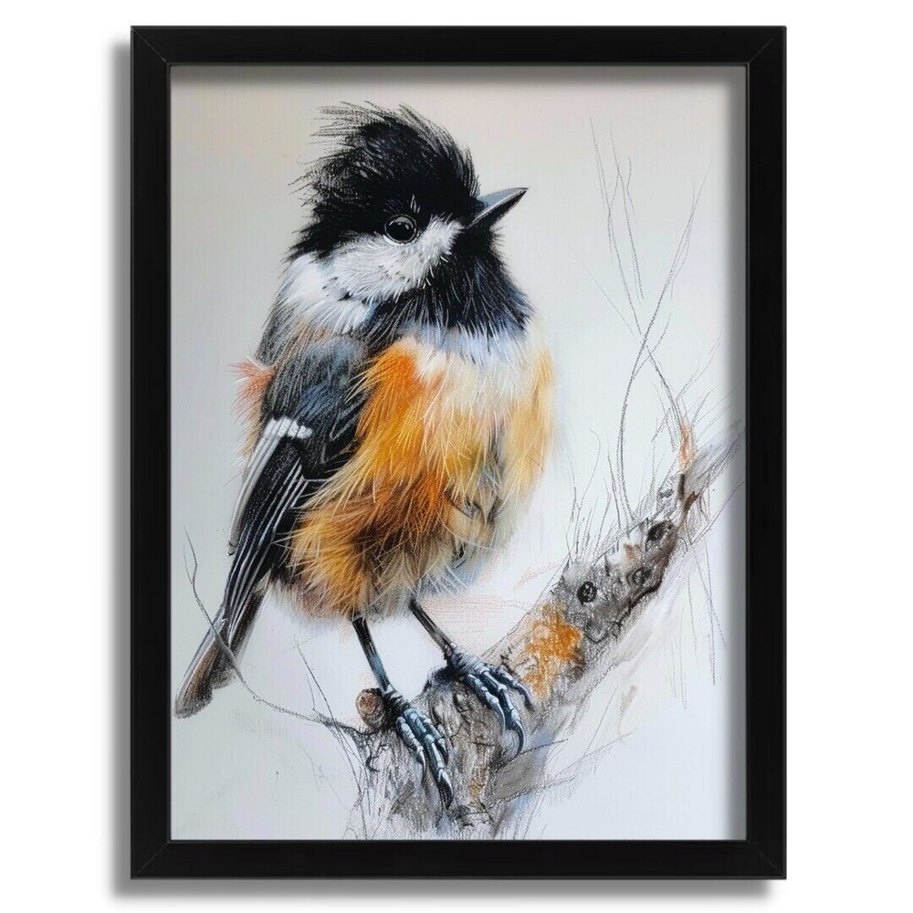 Coal Tit Bird Wall Art Print Animal Vintage Bird Print Coal Tit Picture Print