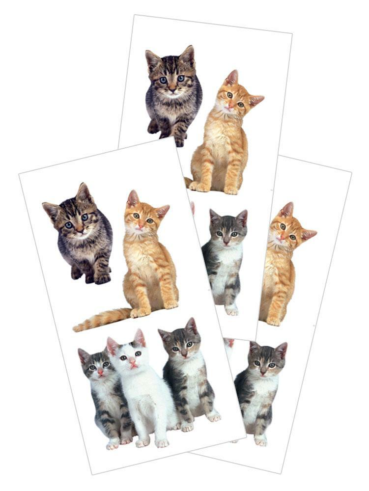 Playful Cat  Kitten Stickers Planner Party Supply Papercraft Furry Pet Friends