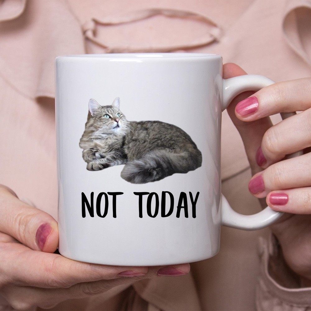 Funny Norwegian Forest Cat Black Blue Not Today Cat Mug Lazy Gift For Cats