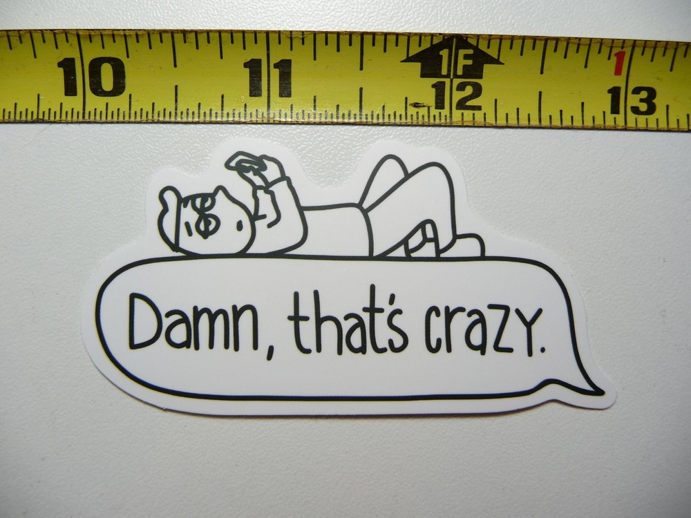 Crazy Slacker Sarcastic Funny Novelty Sticker Decal