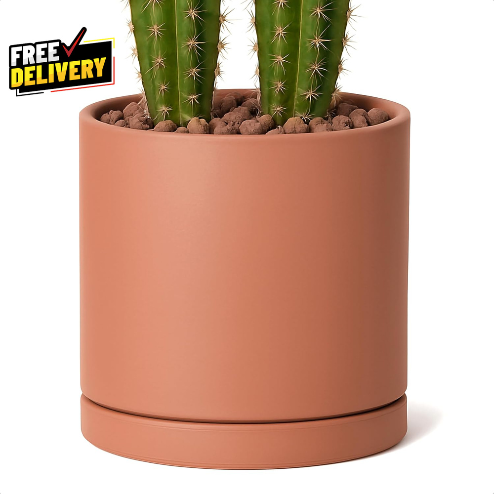 Large 10 Inch Terracotta Plant Pot with Drainage Hole and Saucer round Cylinder