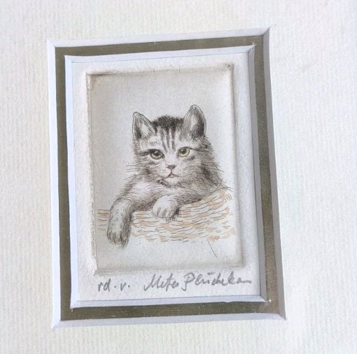 Antique signed Meta Pluckebaum pencil cat drawing rare