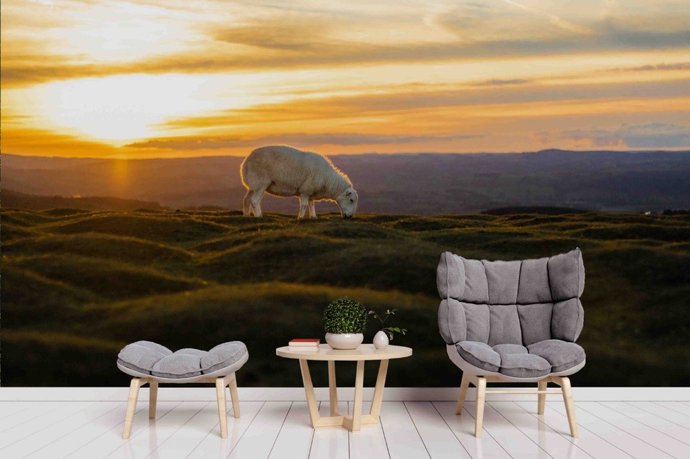 3D Grassland Sheep Sunset Landscape Wall Murals Wallpaper Murals Wall Sticker