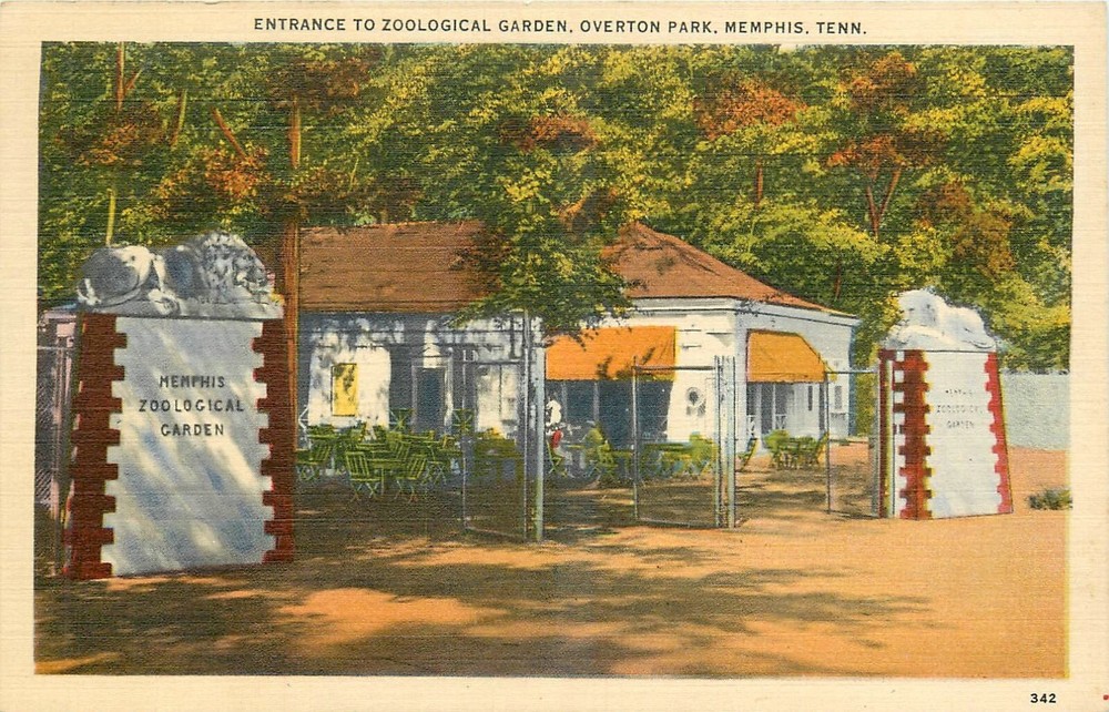 1940s Memphis Tennessee Entrance Zoological Garden Overton Postcard 24-11743