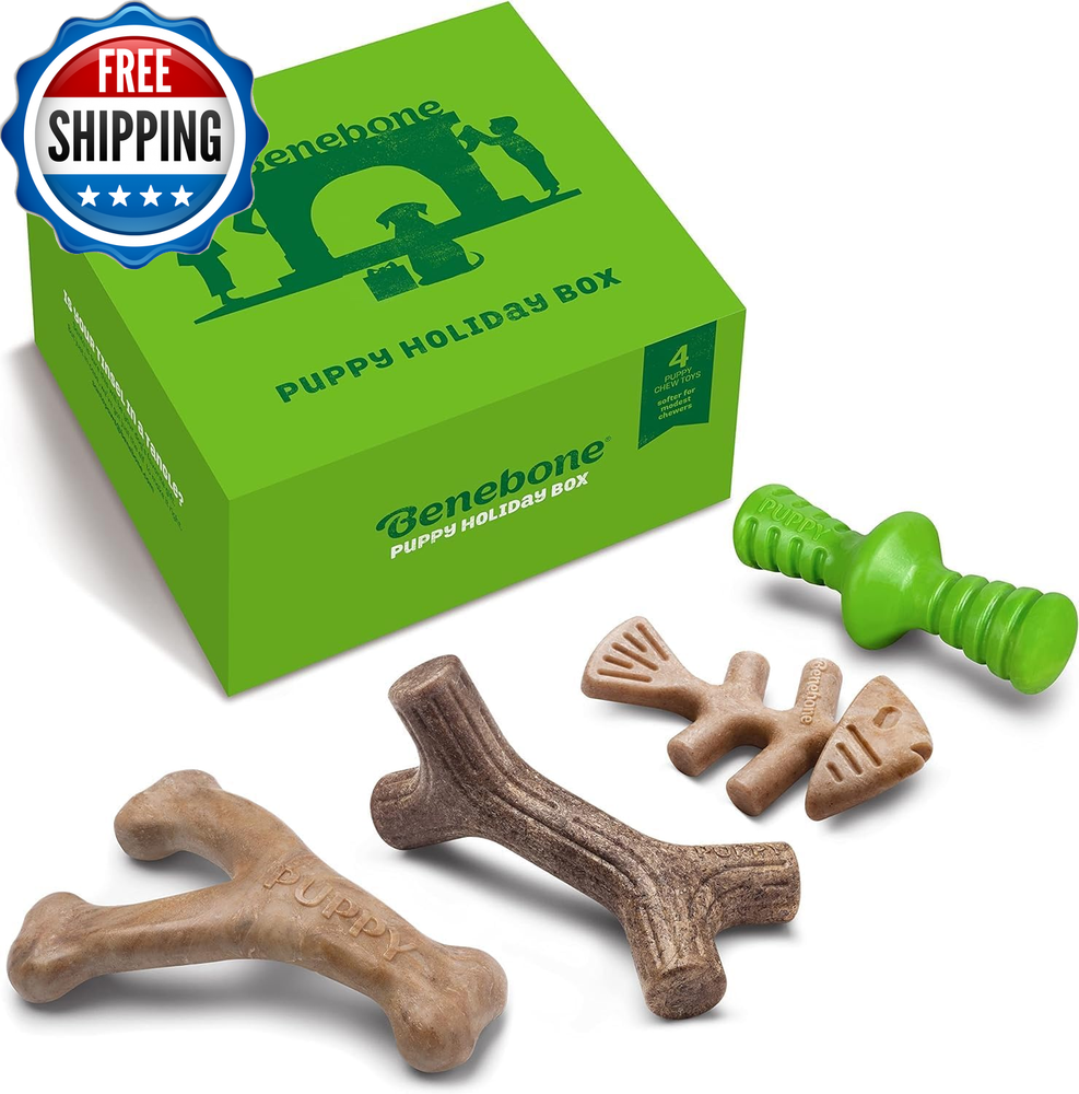 Puppy Holiday 4-Pack Dog Chew Toys, Made in USA, 30Lbs and Under, for Modest Che