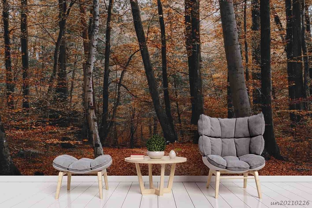 3D Forest Path Autumn Landscape Wall Murals Wallpaper Murals Wall Sticker