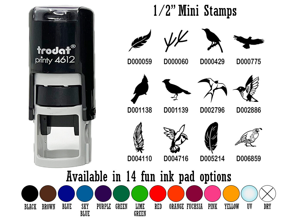 Birds and Feathers 1/2