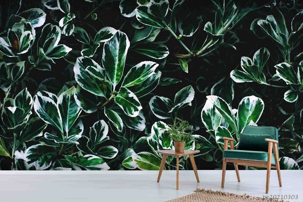 3D Plant Leaf Close-up Wall Murals Wallpaper Murals Wall Sticker 2