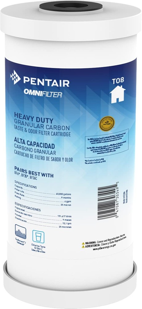 Pentair TO8 10-Inch Big Blue Whole House Granular Carbon Water Filter Heavy Duty