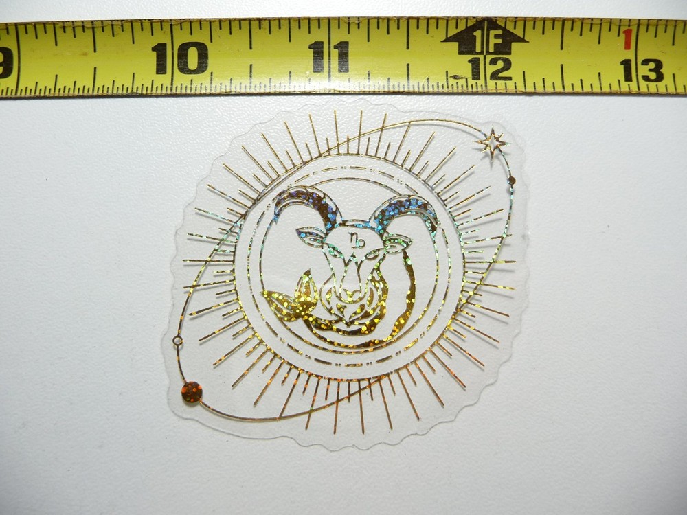 HOLOGRAPHIC ZODIAC CAPRICORN CIRCLE STICKER DECAL HOROSCOPE SIGN BIRTH MONTH