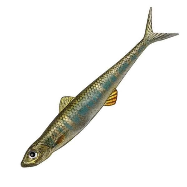Evergreen Last Ace 110F Bass Fishing Lure Floating Baitfish Imitation
