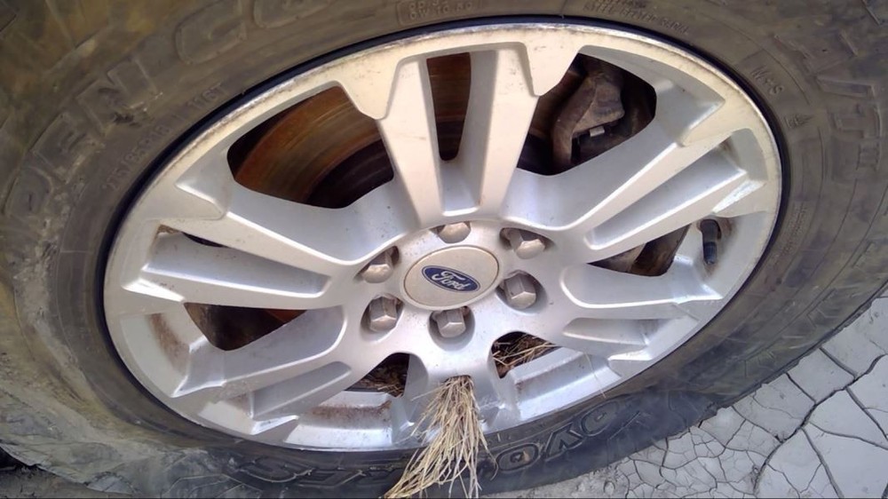 Wheel 18x7-1/2 Aluminum 12 Spoke Fits 15-17 FORD F150 PICKUP 4531268