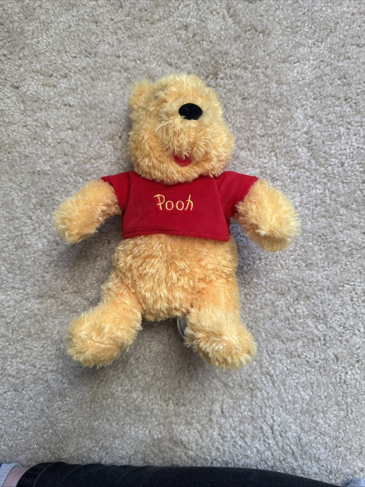 Disney Winnie The Pooh Plush Soft Shaggy 9