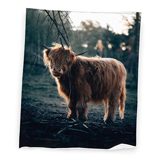Highland Cow Throw Blanket Flannel Fleece Fuzzy Blankets Soft Warm Cozy for
