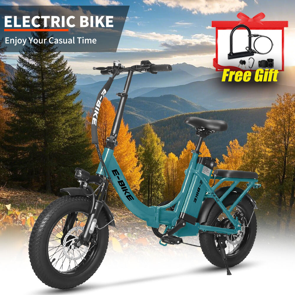 E-Bike 16